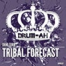 Tribal Forecast