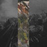 Past Life - EP