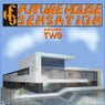 Future House Sensation, Vol. 2 (Best Clubbing House Tracks)