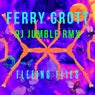 Fleeing Flies DJ Jumble Remix (Extended Version)