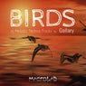 Birds LP