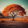 Indian Summer