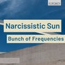 Narcissistic Sun
