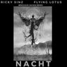 Flying Lotus (Ricky Sinz berghain jacking Remix)