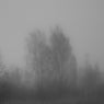 disappear into the fog