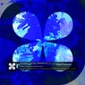 Rosebay Music Presents: Fluxpoint, Vol. 1