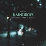 Raindrops (Madness Express Remix)