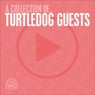 A collection of.. TurtleDog Guests