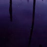 Ambient Selections (Reworked)
