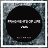 Fragments Of Life