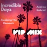 Incredible Dayz (VIP Mix)
