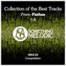 Collection of the Best Tracks From: Pashaa, Pt. 5