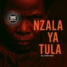 Nzala Ya Tula (Remix)