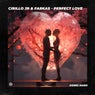 Perfect Love (Extended Mix)