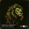 Reveal The Lion