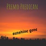 Sunshine Gone