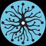 Sense Data
