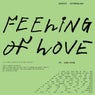 Feeling Of Love (feat. DaM-FunK)