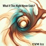What If This Night Never Ends?