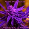 Facts of Marijuana