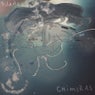 Chimeras