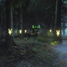 NOCTEM