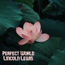 Perfect World