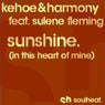 Sunshine (In This Heart Of Mine)