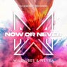 Now Or Never (Extended Mix)