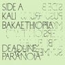 Deadline Paranoia 2/3