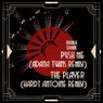 Push Me / The Player - Remixes