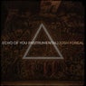 Echo of You (Instrumental)