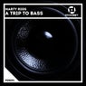 A Trip To Bass