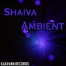 Ambient
