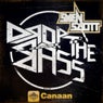 Drop The Bass