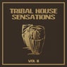 Tribal House Sensations, Vol. 2