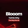 Tell Me Why (The Brig Remix)