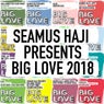 Seamus Haji Presents Big Love 2018