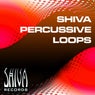 Shiva Percussive Loops Vol 6