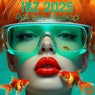 Ibz 2025