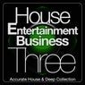 House Entertainment Business, Three (Accurate House & Deep Collection)