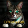 Life of a Cat