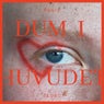Dum i huvudet