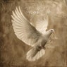 Like a Dove