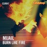 Burn Like Fire