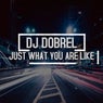Just What You Are Like