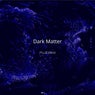 Dark Matter