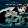 Electronic Ocean (25 Summer Anthems), Vol. 1