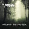 Hidden in the Moonlight