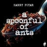 A Spoonful Of Ants